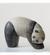 Panda 1