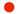 Japanese