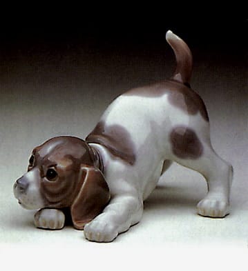 Beagle Puppy