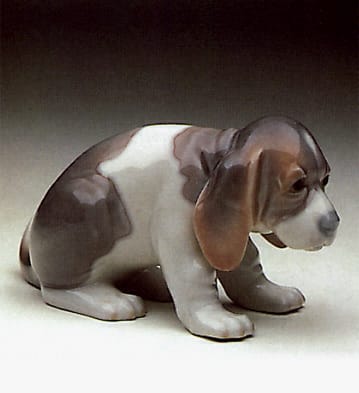 Beagle Puppy Sitting