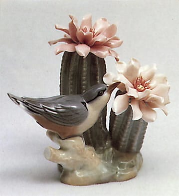 Bird on Cactus