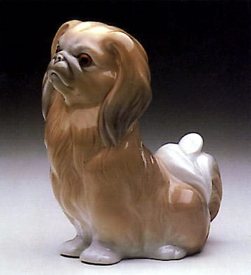 Pekinese Sitting