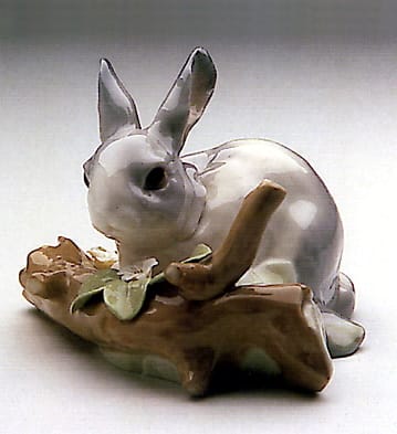 Rabbit Eating (Grey)