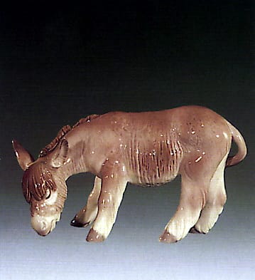 Donkey Eating