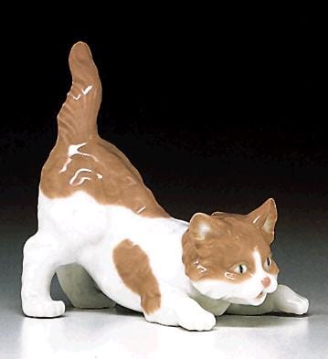 Scare-Dy Cat
