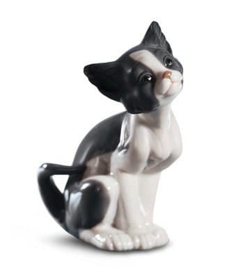 Cat Lover's Collection (Glazed)