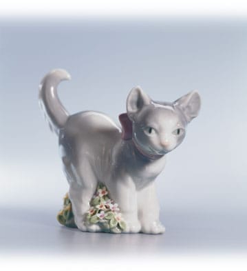 Cat Lover's Collection (Glazed)