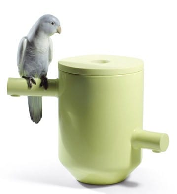 Parrot Treasure