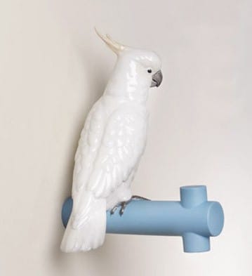 Parrot Hang II