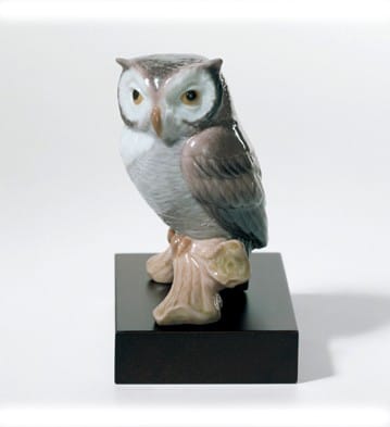 Lucky Owl