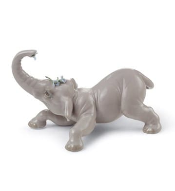 Elephants, Baby (3)