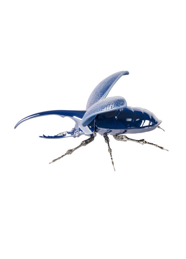 Hercules Beetle