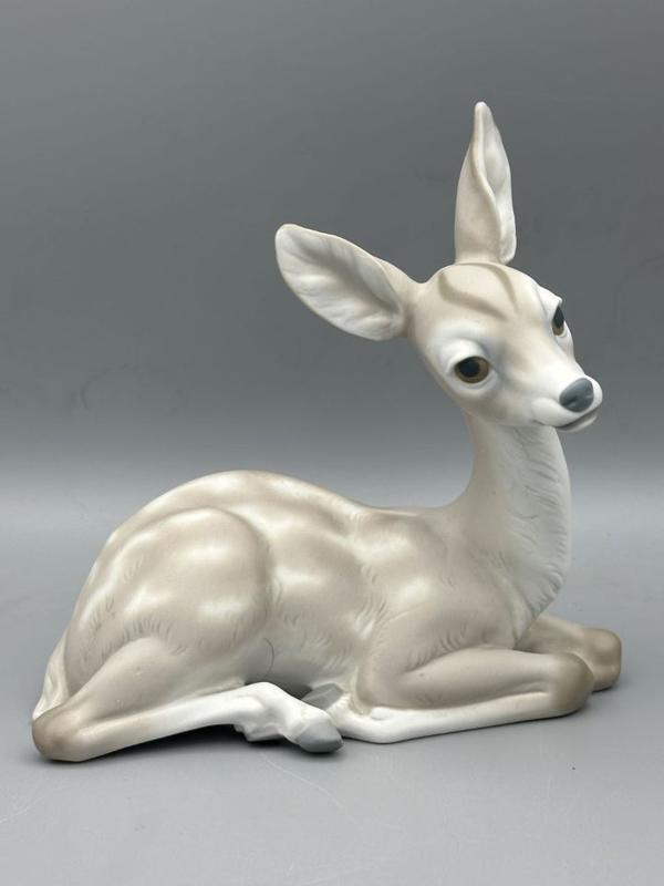 Deer Sitting