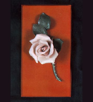 Big Rose in Case