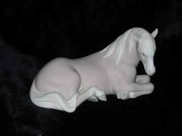Little Horse Resting