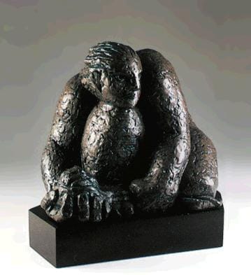 OBSERVER