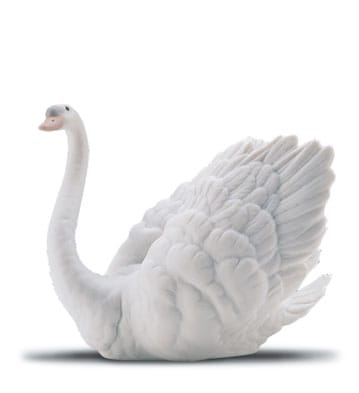 White Swan