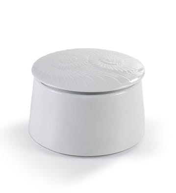 Cotton Box Nautilus