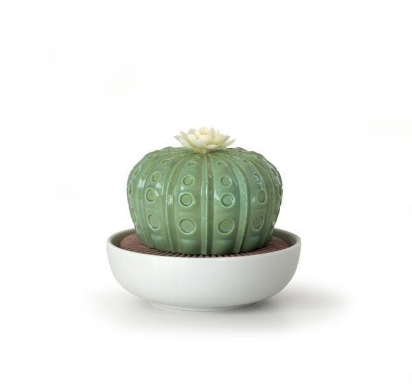 Astrophytum Cactus Diffuser Lladró