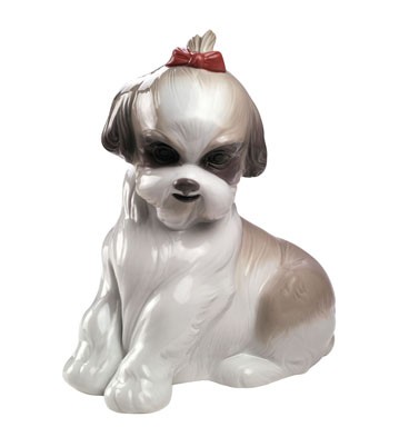 Pampered Shih-Tzu Lladró