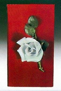 Medium Rose in Case