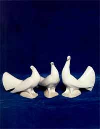 Dove  (Turned Left)