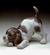 Beagle Puppy