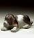 Beagle Puppy Lying