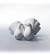Couple of Doves