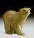 Attentive Bear