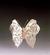 Beautiful Butterfly #2