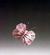 Pink+White Butterfly #4