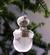 King Balthasar