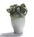 Naturofantastic - Small Vase (Green)