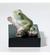 Lucky Frog