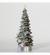 O Christmas Tree