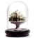 CAMELIA CENTERPIECE
