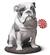 Bulldog with Lollipop