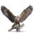 Freedom Eagle