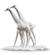 Giraffes (White)