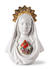 Sacred Heart of Mary