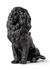 Majestic Lion