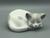 Sleeping Kitten