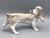 Basset