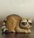 Raccoon