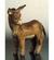 Donkey Standing