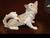 Papillon Dog