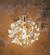Freeze Frame Birds Hanging Lamp USA