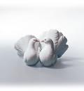 Dove Couples - White (3)