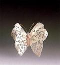 Butterfly Capricho Set (14)